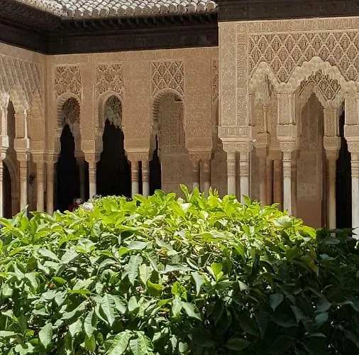 公寓 Mirador Alhambra - 2 Privates Terraces - Parking 10e *